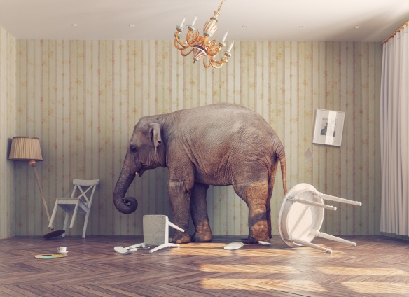 elephant in a room